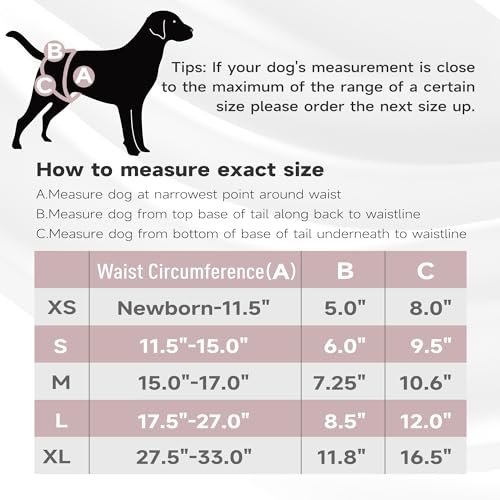 Image of Paw Legend Washable Reusable Female Dog Period Diapers for Heat Doggie Puppy Diapers for Female Dogs (3 Pack, X-Small)