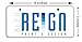 Bleu Reign Personalized License Plate California Mini Kids Bicycle (3x6 in)