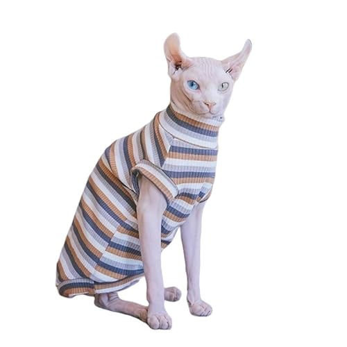 SphynxєLXgCvTVcLȃ`bLtăXgb`ȃybg킢LVcm[X[uyʎqLƎq (O[XgCv,S)