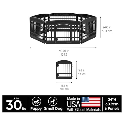 image for IRIS USA 24
