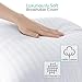 Clara Clark Bed Pillows for Sleeping, Down Alternative Pillows Toddler Size Set of 2, Baby Bed Pillows, 100% Cotton Pillow Covers with Poly Fiber Filling,