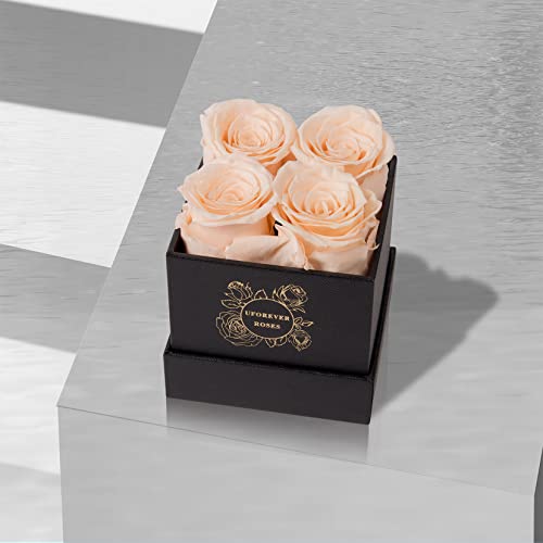 4-Piece Preserved Roses in a Box, Preserved Flowers, Roses Gift for Her, Buttermilk - Image 5