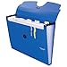 Five Star 6 Pocket Expanding File Organizer, Plastic Expandable File Folders with Pockets and Tab Inserts, Holds 11