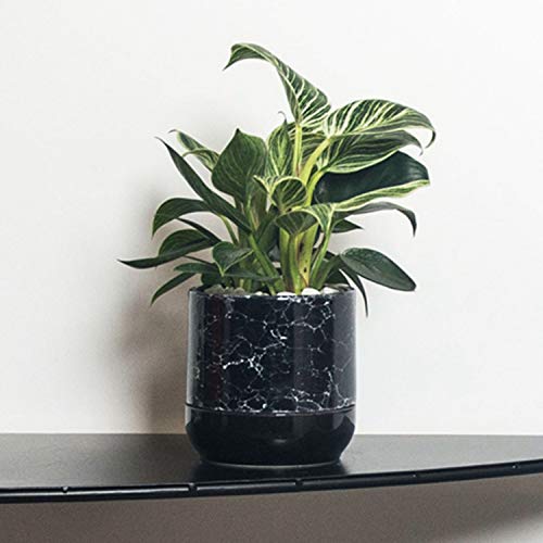 観葉植物の鉢の人気おすすめランキング15選 鉢カバー兼用 おしゃれ セレクト Gooランキング