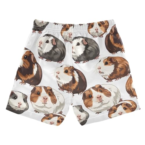 Funny Guinea Pig Boys Swim Trunks Toddler Shorts Swimwear Boardshorts2