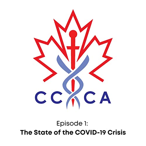 The State of the COVID-19 Crisis