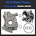 5.4 Timing Chain Kit Head Gasket Set Oil Pump Water Pump Phaser VVT Fits for Expedition F150 F250 F350 Super Duty Lincoln Mark LT Navigator 2004-2006 5L3Z-6268-A 3L3Z6M280EA