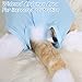 Qulkws Cat Recovery Suit Cats Spay Recovery Suit Cat Onesie Kitten Surgical Bodysuit Anti Licking After Surgery for Male Female Cats Blue L