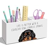 nvucamd King Charles Cavalier Dog Gifts Pen Pencil Holder for Desk, Funny Dog Lovers Gift Office Desk Accessories,Life Is Better with a Cavalier King Charles Spaniel Pen Holder Organizer for Home