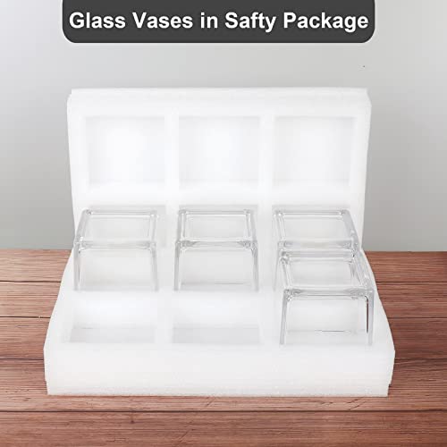 6 Pack Clear Square Glass Vases, Planter Terrarium Flowers Vase Candle Holder For Home,Garden, Wedding Centerpiece Decorations And Formal Dinners (Width 4", Height 4") #TOP6