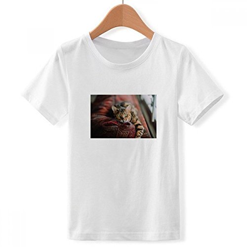 T-Shirt Œil de Chat Vert Blanc pour Garçon Ras du Cou Taille M Vêtement Imprimé
