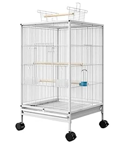 zfadgru ^LX^[t IEECRENhp LXbVŒʋCǍD a//ɐB{bNX/t |₷ Ϗܗp OΉ (W)