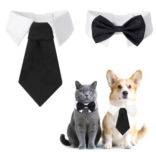 2 L lN^C L[g ^bNX q {E^C L {E^C  ybg RX`[ ߉\ lN^C  L ^ O[~O ANZT[ a EFfBO ߑ  a a a Mtg