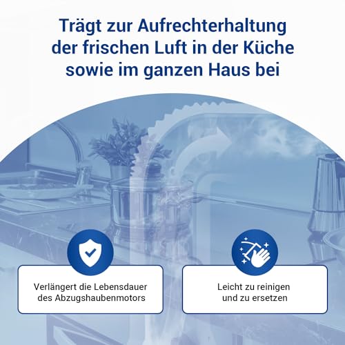 VIOKS 4x Filtr Okrągły z Węglem Aktywnym do Okapu Zamiennik dla AEG Electrolux 902980046/4 9029793578 E3CFF62 Bosch 00748732 00748733 DHZ5316 Faber EFF62 Whirlpool 484000008674 Filtr Węglowy 196mm