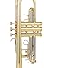 aurosus cc820 c trumpet stainless steel valves 124mm brass bell gold brass lead pipe nickel silver slides clear lacquer finish 7c mouthpiece case backpack strap intermediate students