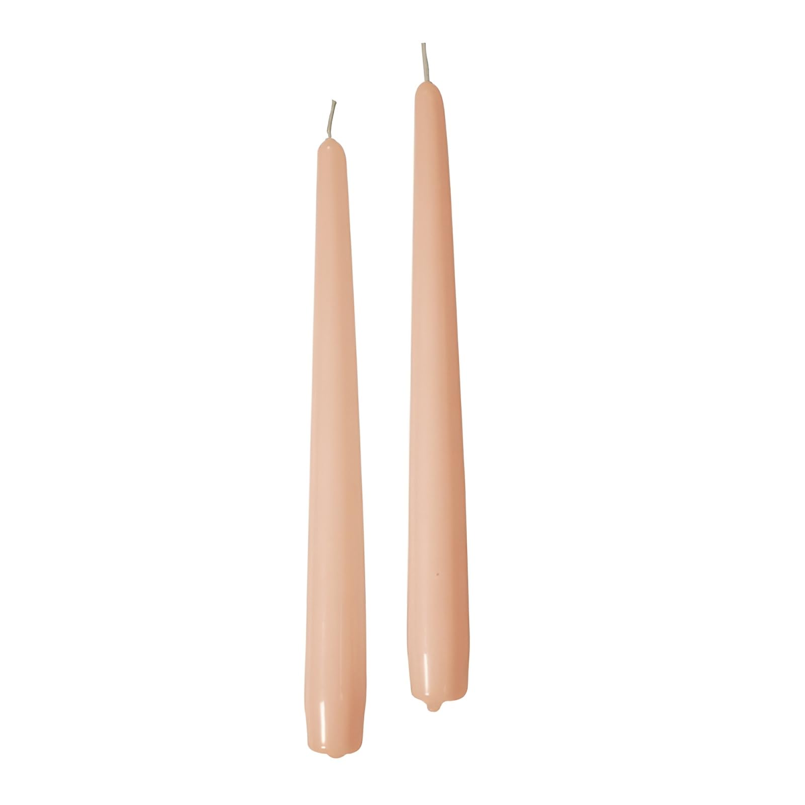 Cereria di Giorgio Risthò Conical Candles for Candlestick, Wax, Powder, 2.2 x 25 cm