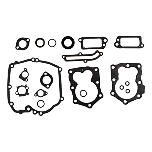 Joint moteur 590508 Briggs & Stratton pour tondeuse 794307 - 2