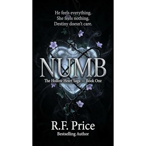 NUMB: A Teen & Young Adult Fantasy Audiolibro Por R.F. Price arte de portada