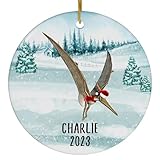 Santa Hat and Scarf Welcome Winter Pterodactyl Christmas Ornaments 2025 Personalized Name Circle Ceramic Wild Animal Lover Gifts