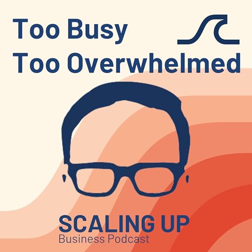 Too Busy or Not Busy Enough? Podcast Por arte de portada