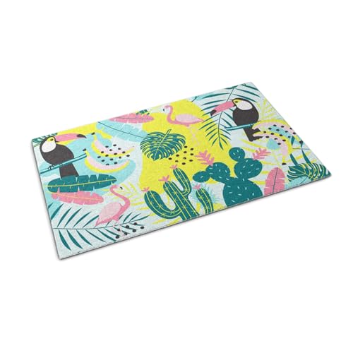 Paillasson extérieur grand format tapis entrée terrasse résistant intempéries