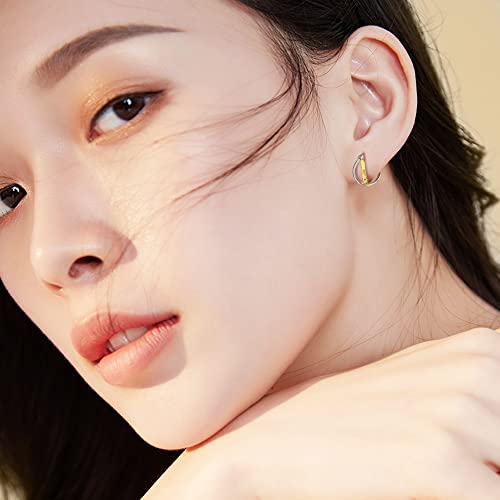Mixed Metal Earrings with 925 Sterling Silver Ear Posts Two Toned Earrings Silver Hoop Earring for Women Daily Jewel Gift for Her2