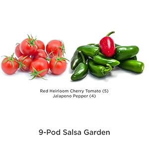 Aerogardensalsagardenseedpodkit9pod Urban Country Home Decor Aerogarden salsa garden seed pod kit 9 pod urban country home decor