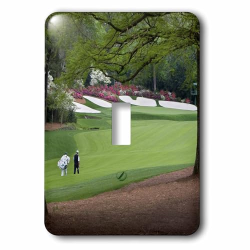 Amen Corner Augusta interrupteur rénovation murale sans peindre 3dRose