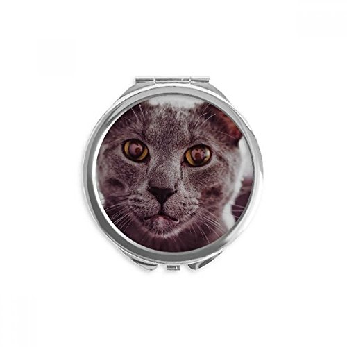 Miroir de maquillage chat gris en voyage ou au bureau pour retouche