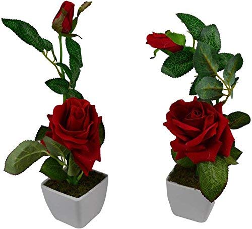 KITGOHUTArtificial Rose with White Vase(10 inchs/ 25 cms) for Indoor and Outdoor Decoration of Your Office and Home (Red)
