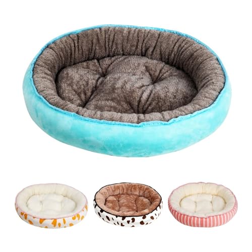 Lit rond pour chat en peluche pour des siestes cocooning au salon
