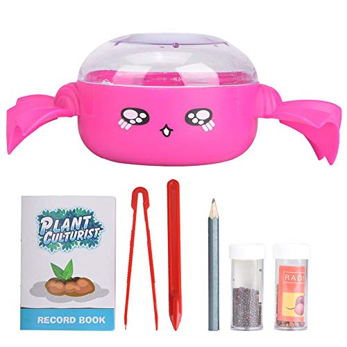 Kit de jardim de sementes não tóxico, prato de cultivo de sementes, amigos simples para casa