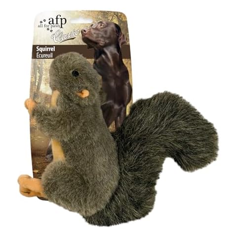 ALL FOR PAWS Classic Squirrel Pet Toys, Small Cover