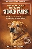 When Your Dog Is Diagnosed With Stomach Cancer: What to Expect, Treatment Options, Home Care Tips, and How to Make the Best Decisions for Your Dog