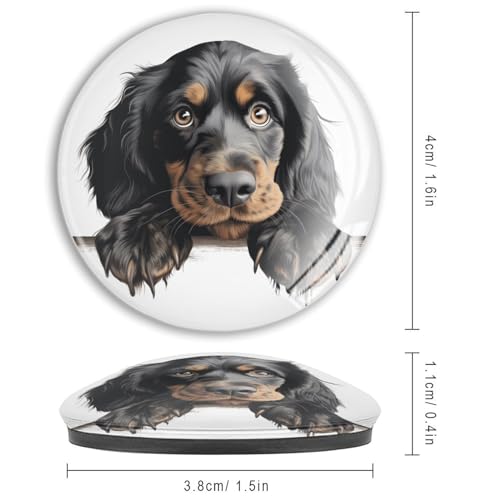 Imanes de animales de vidrio resistente con diseño de Gordon Setter 4