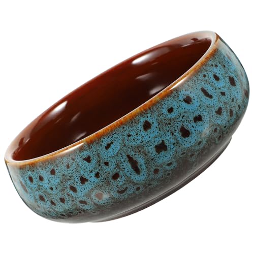 Pot hydroponique céramique jardinière intérieure nénuphars
