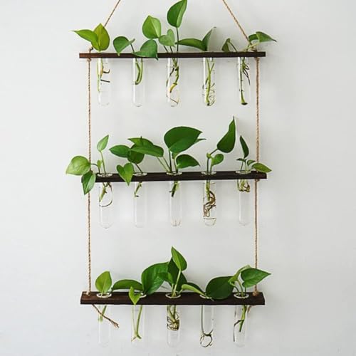 Fiegcit �t�����[�x�[�X ������ �Ǌ|���ԕr ��֑}�� �����ǉԕr 3�i �������K���X�� ���k�͔| �݂艺�� �t�����[�x�[�X �q���V���X ���X�J�� �T�{�e�� �n�C�h���J���`�� �ϏܐA�� ���͍͔| (����35.5*����50*���s4.5cm, �i�`����