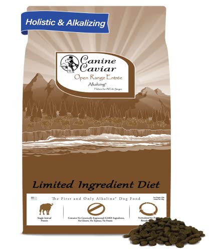 10 Best Dog Color Enhancing Conditioner Formulas for a Vibrant Coat ...