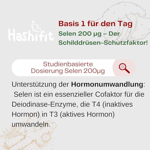 Hashifit Basis 1, Schilddrüse Komplex mit Selen, L-Tyrosin Yamswurzel Kurkuma und mehr, Wechseljahre Kapseln, Hashimoto Kapseln – Energie und Wohlbefinden, hochdosiert vegan, ohne Jod, Monatspackung