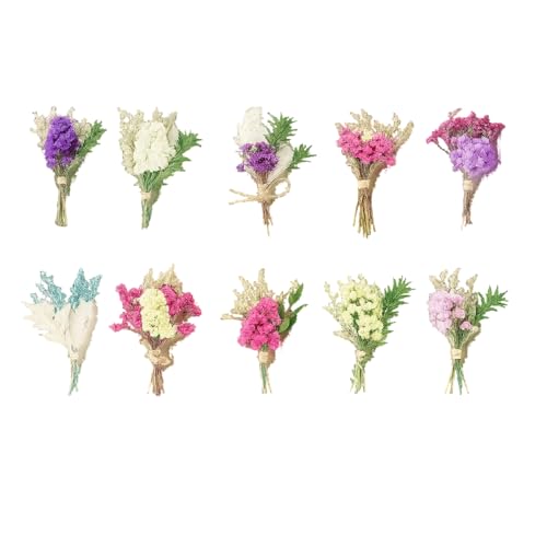 10 Pcs Mini Dried Flowers Bouquet, Dried Flowers for Crafts Set, Natural Dried Flowers, Small Dried Flowers for DIY Crafts, Home Decor, Wedding Invitations, Photo Album Decoration