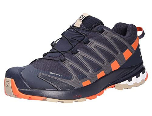 Salomon XA Pro 3D V8 Gore-Tex (wasserdicht) Herren Trailrunning-Schuhe, Blau (Night Sky/Red Orange/Safari), 40 EU