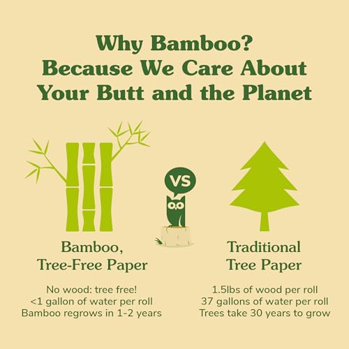 Image of Caboo Mint Flushable Wipes, Certified Flushable, Septic Safe, Chemical Free, Biodegradable Wipes for Adults made with Renewable Bamboo Based Viscose (Pack of 3, Total of 180)