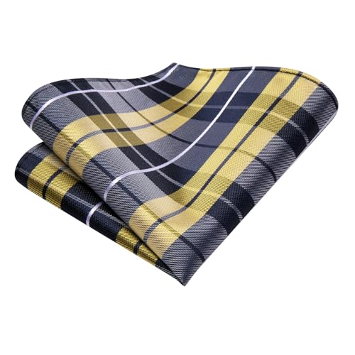 Image of Hi-Tie Men Ties Sets Silk Stripe Paisley Necktie Pocket Square Cufflinks for Business Wedding