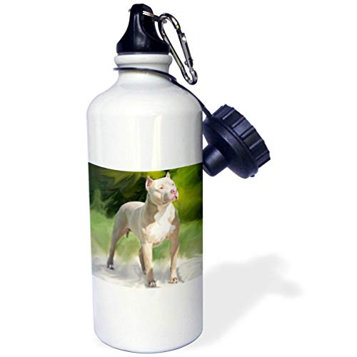 3dRose American Pit Bull Terrier Sports Water Bottle, 21 oz, White