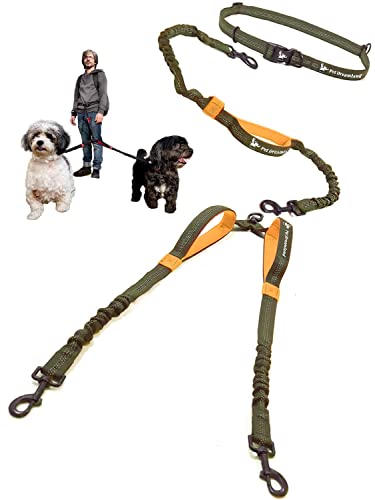 Pet Dreamland Exquisite Hands Free Double Dog Leash for Two Dogs with Tangle-Free Swivel. Premium Quality & Versatile for Running. You Will Absolutely Love This Amazing Waist Leash (Khaki & Orange)
