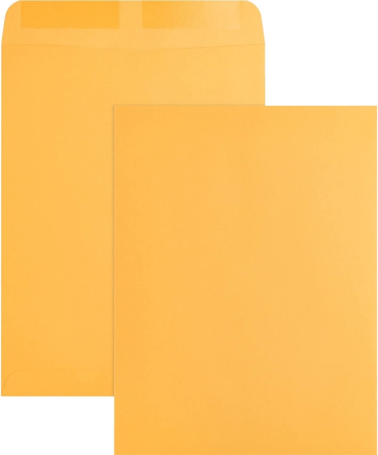 BSN42100 - Business Source Plain Catalog Envelope