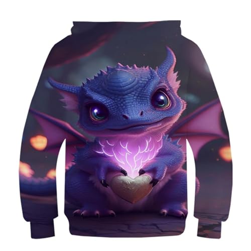 Pull sweat à capuche drôle pour le collège et le sport