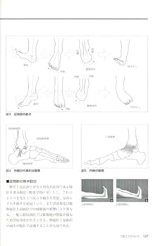 ファンクショナル・エクササイズ 安全で効果的な運動・動作づくりの入門書  /ブックハウス・エイチディ/川野哲英（単行本） Amazon.co.jp: ファンクショナル・エクササイズ―安全で効果的な