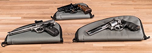 Smith & Wesson M&P Defender Case