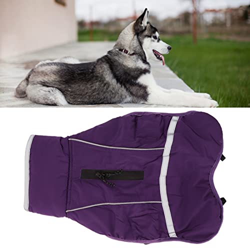 GLOGLOW Casaco refletivo de inverno para cães, jaqueta quente para cães, impermeável, elegante para